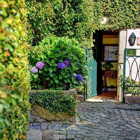 Old Mansion Located By The Douro River * Porto